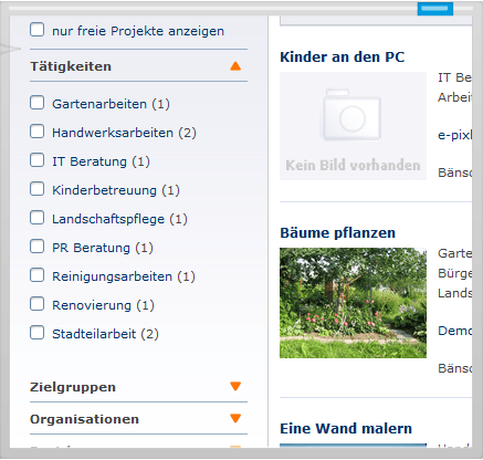 Filtermenü einer Webseite mit Auswahlmöglichkeiten für Tätigkeiten, Zielgruppen und Organisationen, sowie einer Projektliste auf der rechten Seite.